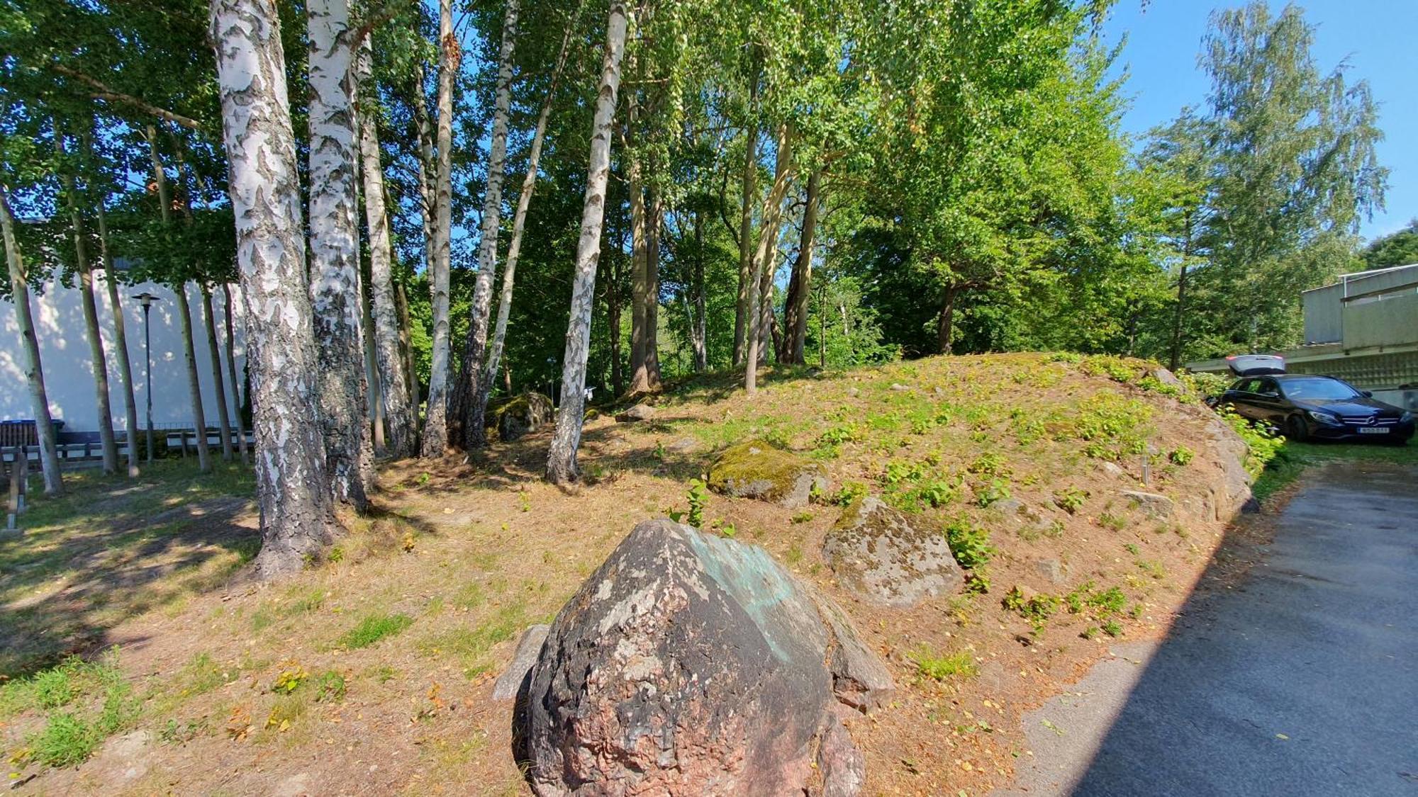 Bed and Breakfast Folketshus I Olshammar Екстер'єр фото
